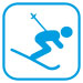 Expert Ski Icon