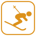 Skier Icon